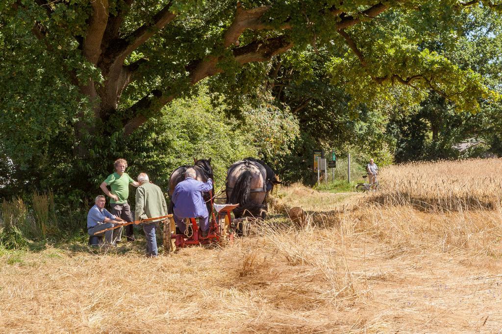 Hoeve Springendal أوتمارسوم المظهر الخارجي الصورة