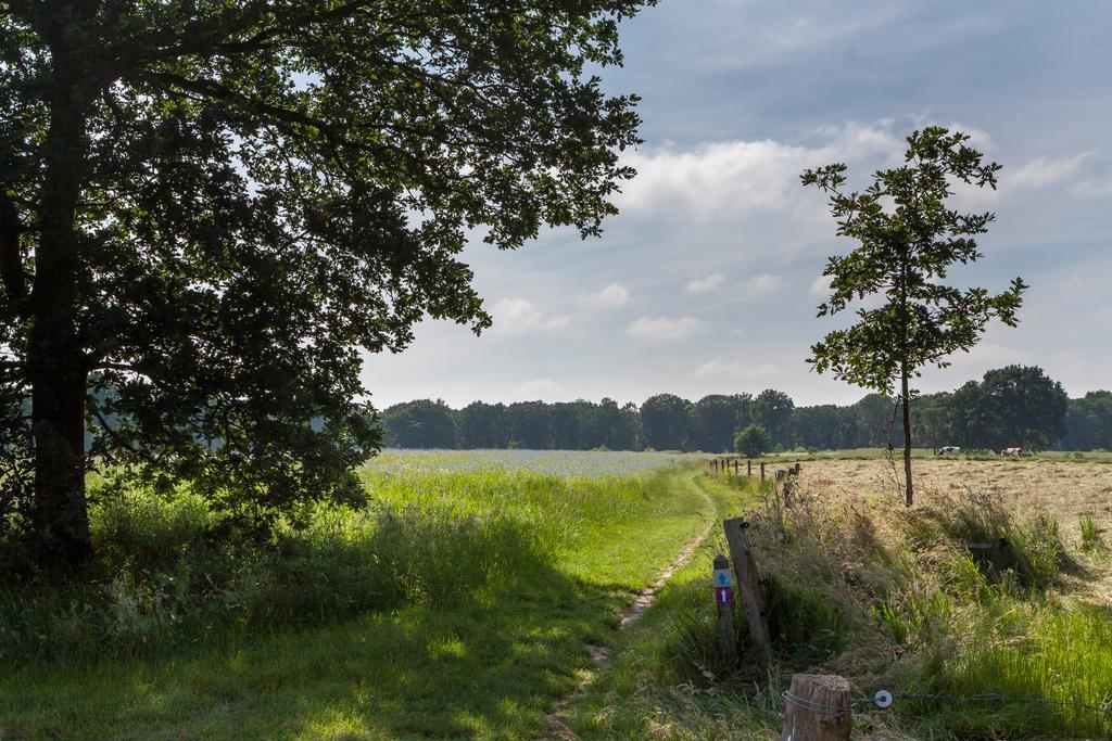 Hoeve Springendal أوتمارسوم المظهر الخارجي الصورة